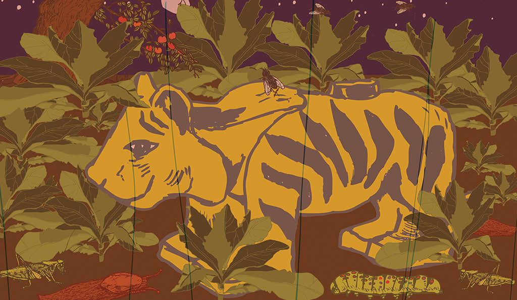 Bengáli tigris a hátsó kertben